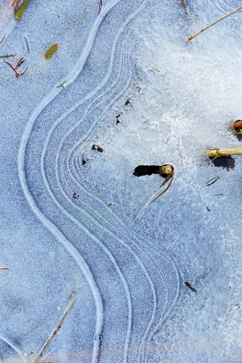 High angle view of footprints on snow