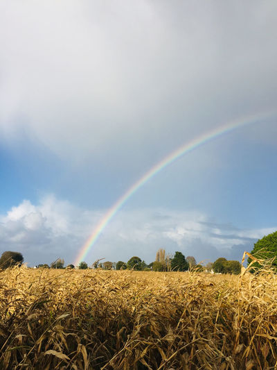Scenic view of rainbow over field against sky
