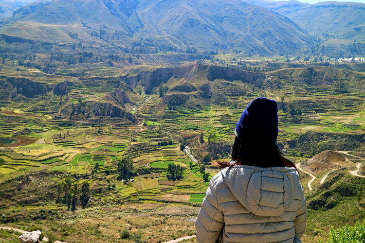 Rear view of woman wearing warm clothing while looking at landscape