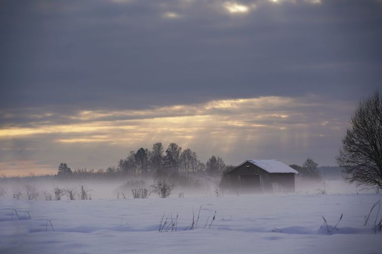 winter