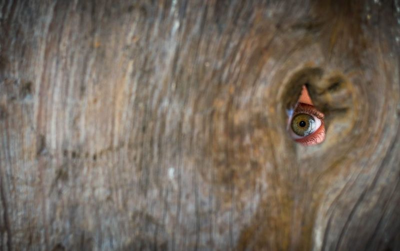 Close-up of eye seen through hole in wood outdoors