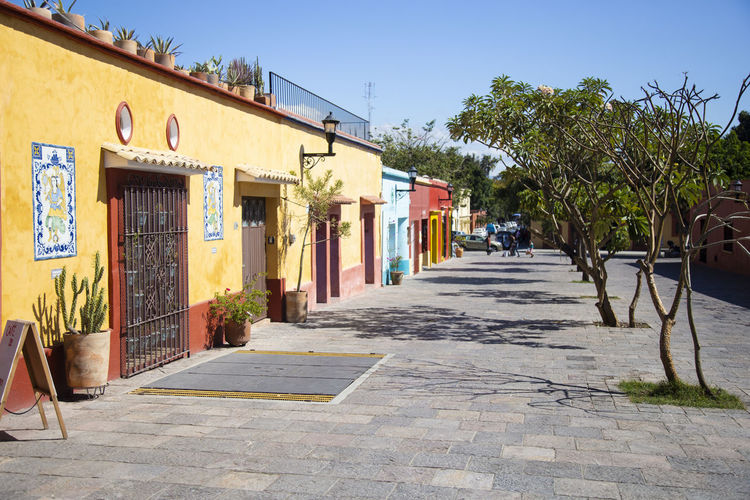 Colorful colonial houses and cobblestone pedestrian street of oaxaca