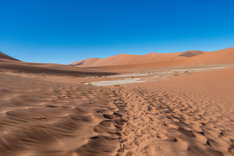 Unbelievable and super hot day at deadvlei