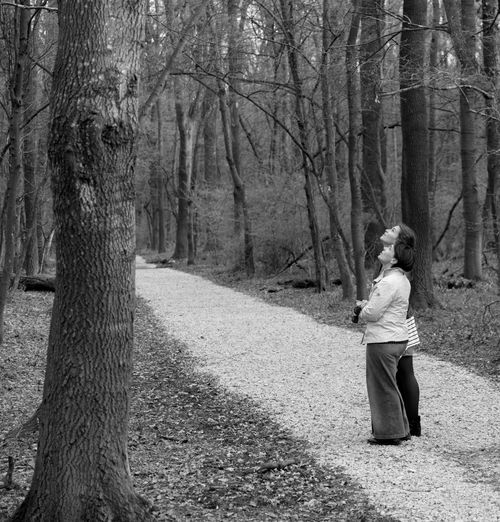 Rear view of woman walking along bare trees