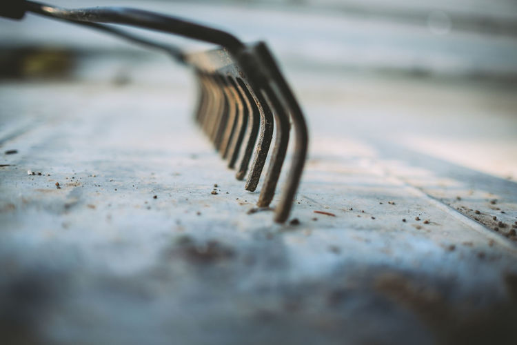 Rake on footpath