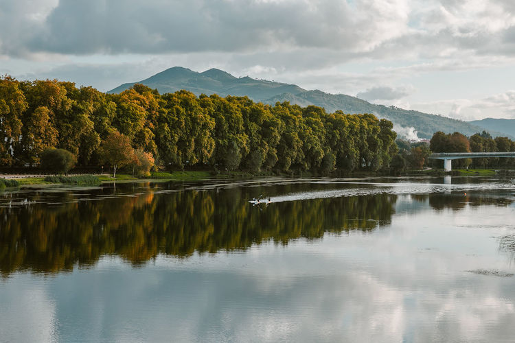Reflection of trees in lake against sky