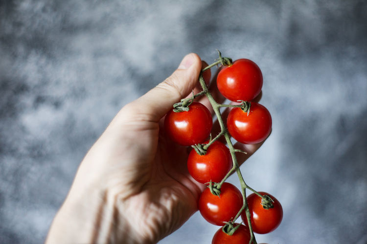 Midsection of person holding red tomatoes