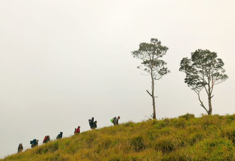 Hikers climbing mountain against clear sky