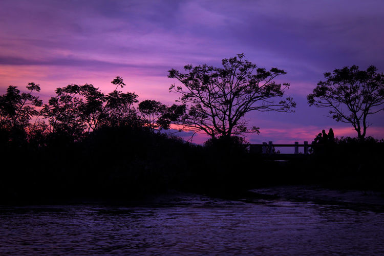 Silhouette trees by river against sky at sunset