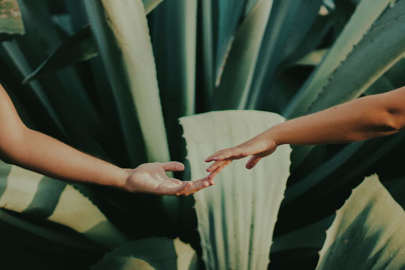 Conexiones galácticas Human Hand Two People Togetherness People Friendship Cooperation Love Nature Close-up Hands Best Of EyeEm The Week On EyeEm EyeEm Of The Week VSCO Eye4photography Lifestyles Shadows & Lights Mix Yourself A Good Time Beauty In Nature Second Acts Rethink Things Be. Ready.