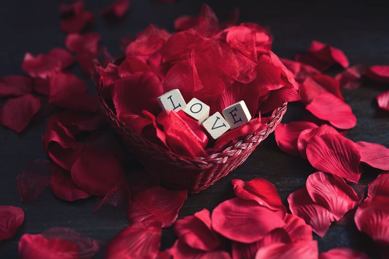 Love letters on a bed of rose petals