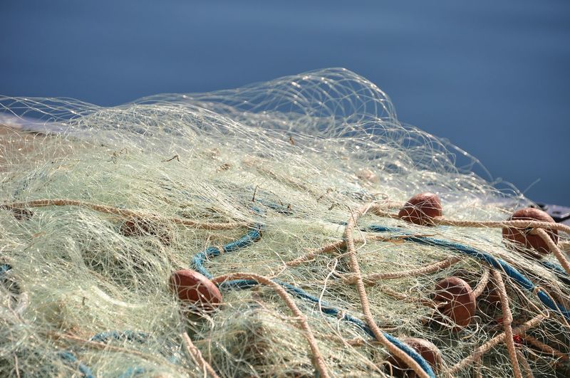 Close-up of fishing net against clear sky