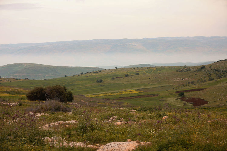 Scenic view of landscape against sky