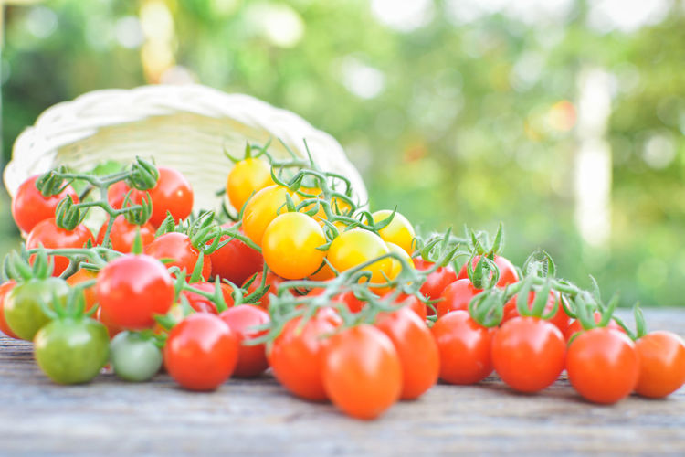 Close-up of cherry tomatoes spilling from basket on table