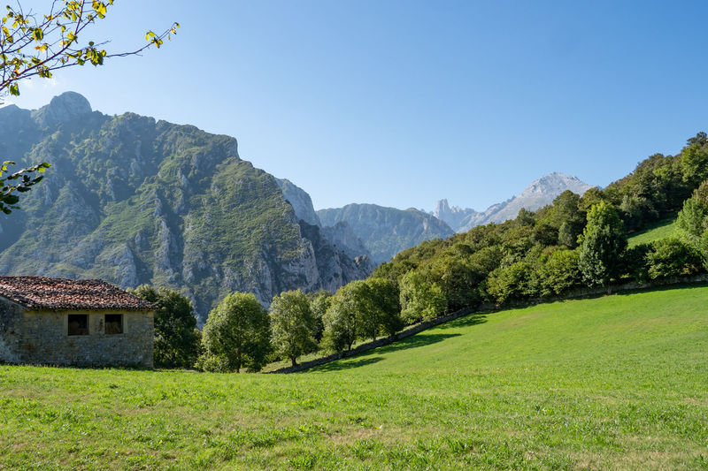 Scenic view of field against clear sky