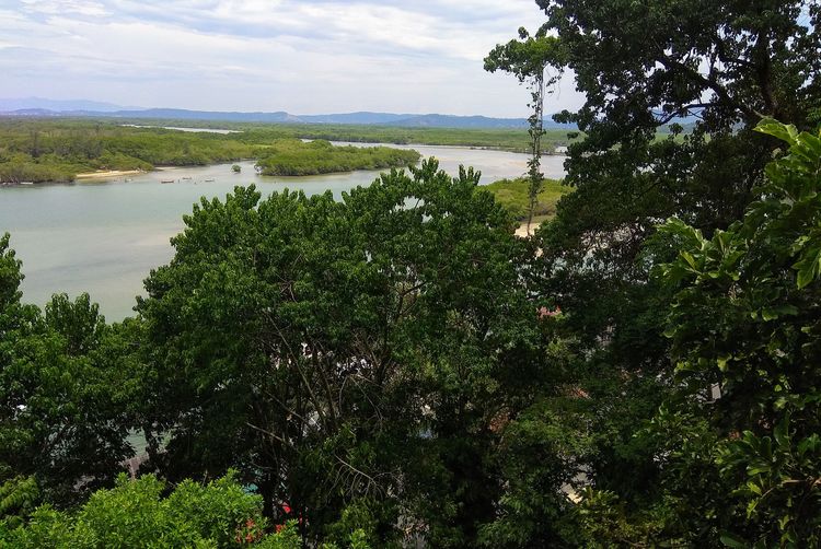 Scenic view of trees by lake against sky