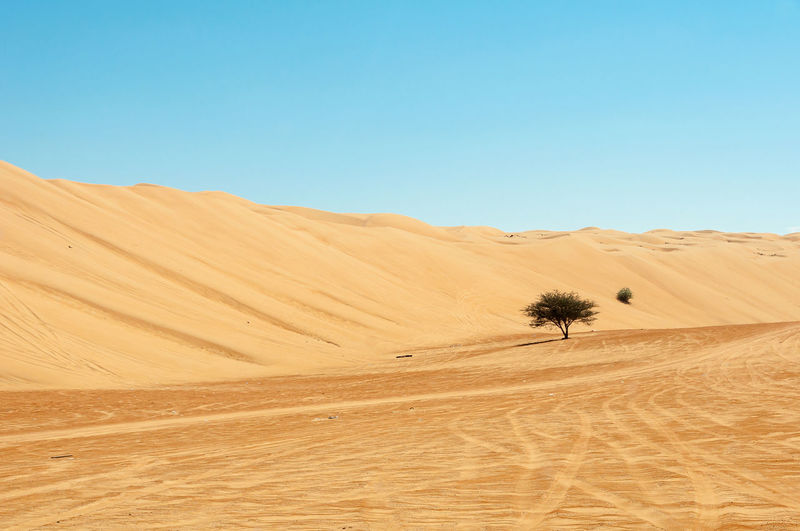 Scenic view of desert against sky