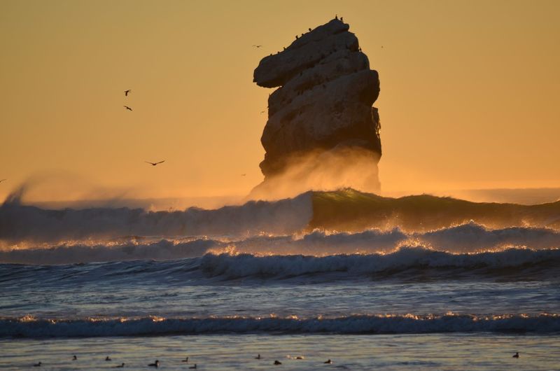 Scenic view of rock at morro bay beach