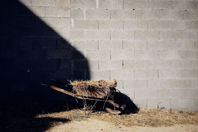 Hays in wheelbarrow against stone wall during sunny day