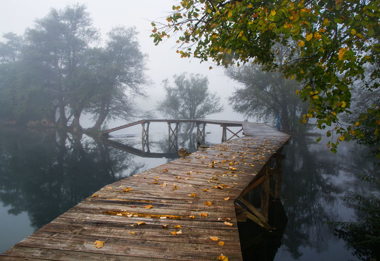 Wooden footbridge over lake