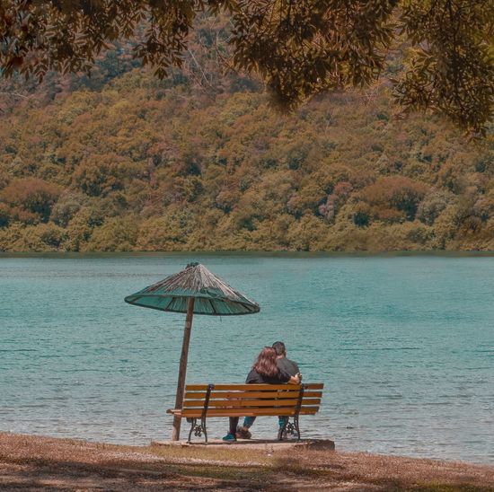 Rear view of man sitting on bench in water