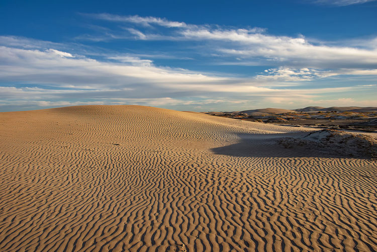 The late afternoon sun casts shadows across the sand dunes at adolfo lopez mateos in baja california