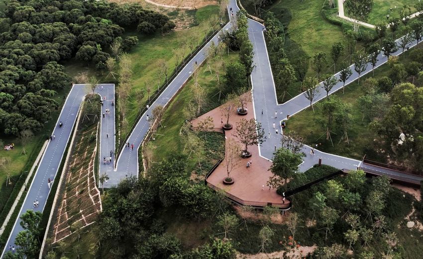 High angle view of bridge amidst trees