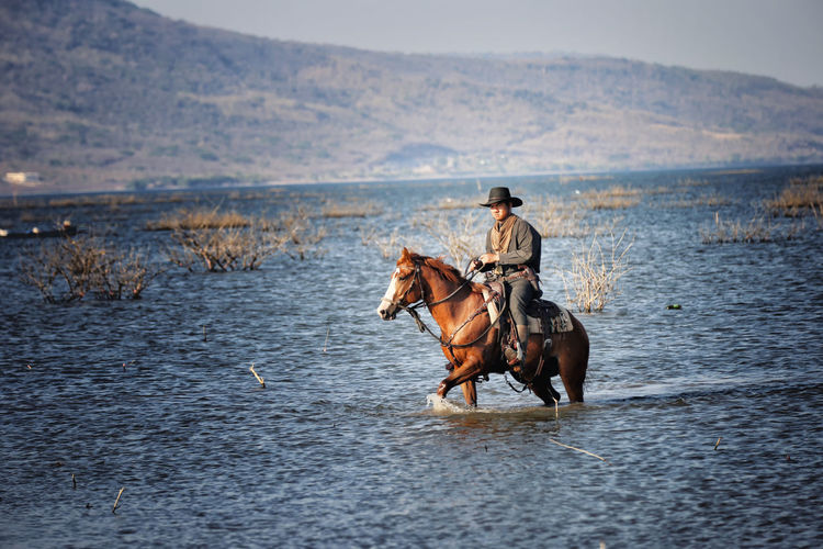 Man riding horse in lake against sky