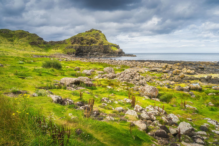 Rocky coastline with cliffs and rock formations in giants causeway, northern ireland