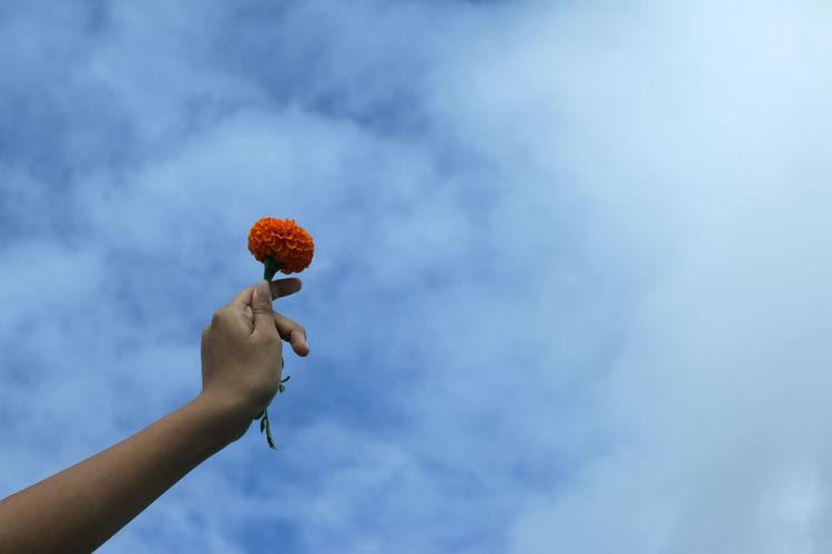 Low angle view of hand holding strawberry against sky