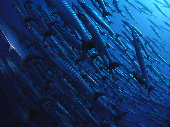 Close-up of blue water