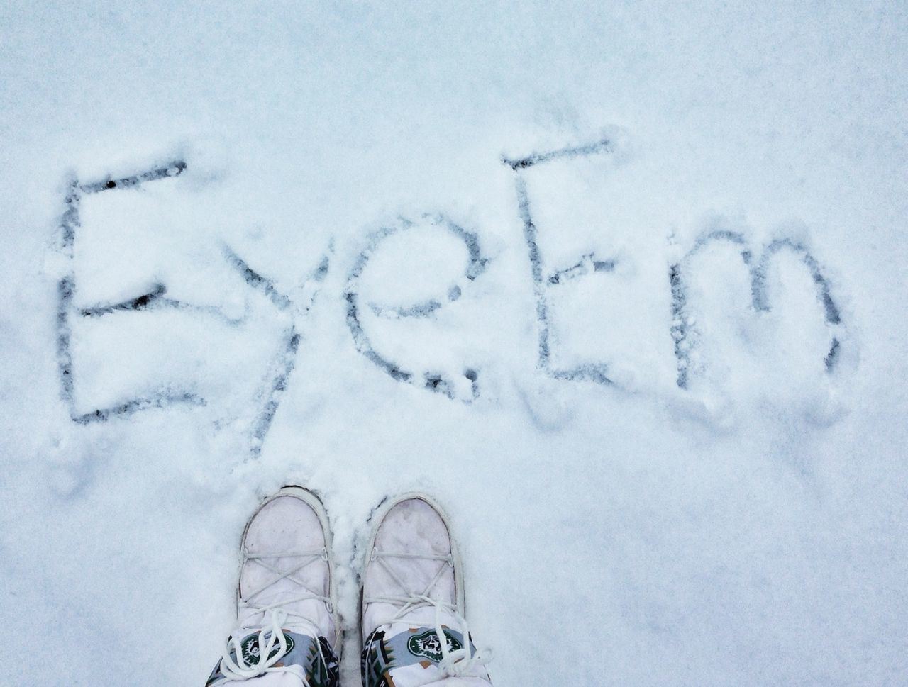 snötäckta träd På vintern