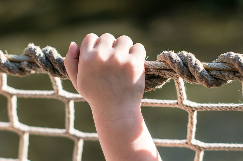 Cropped image of hand holding net