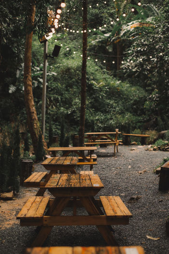 Empty bench in park