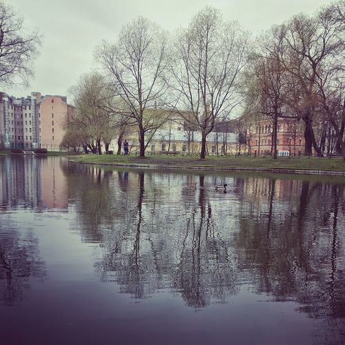 Reflection of trees in lake