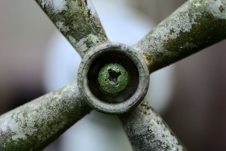 Close-up of rusty metal on tree