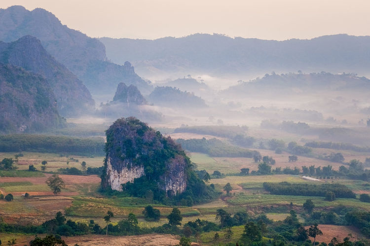 Scenic view of landscape