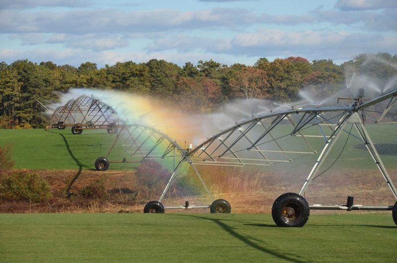 Agricultural sprinkler on field