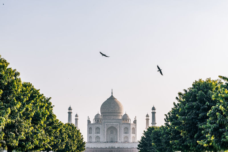 Birds flying by taj mahal against sky