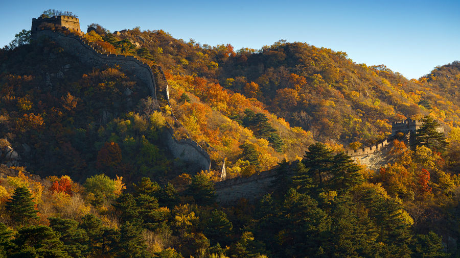 Scenic view of trees by mountain against sky during autumn