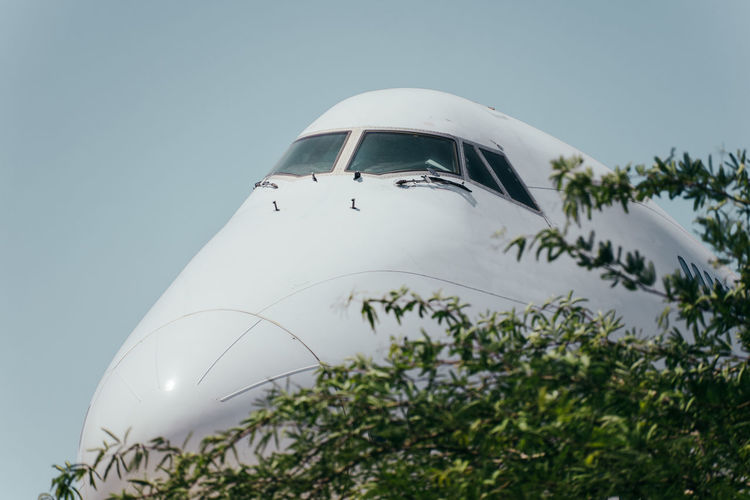 Low angle view of airplane by tree against sky