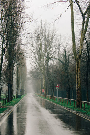 Road amidst bare trees during rainy season
