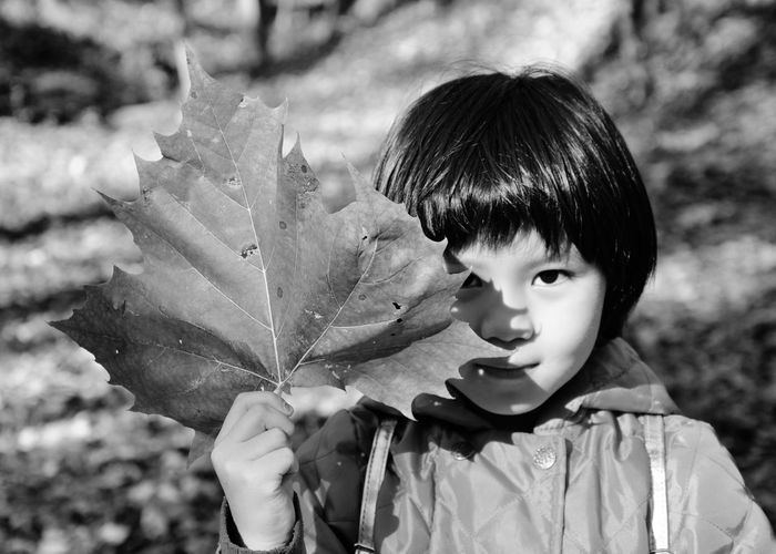 Portrait of cute girl holding dry leaf