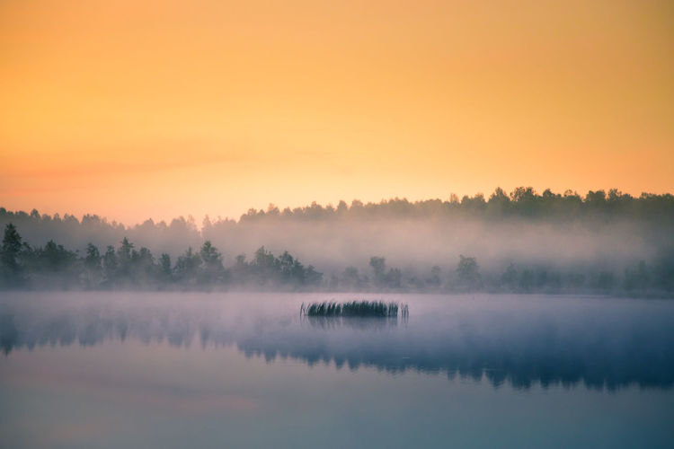 A beautiful, colorful landscape of a misty swamp during the sunrise.