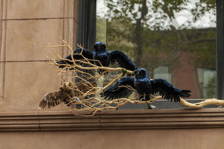 Halloween decoration of a blue owl in a nest on a window. halloween concept.