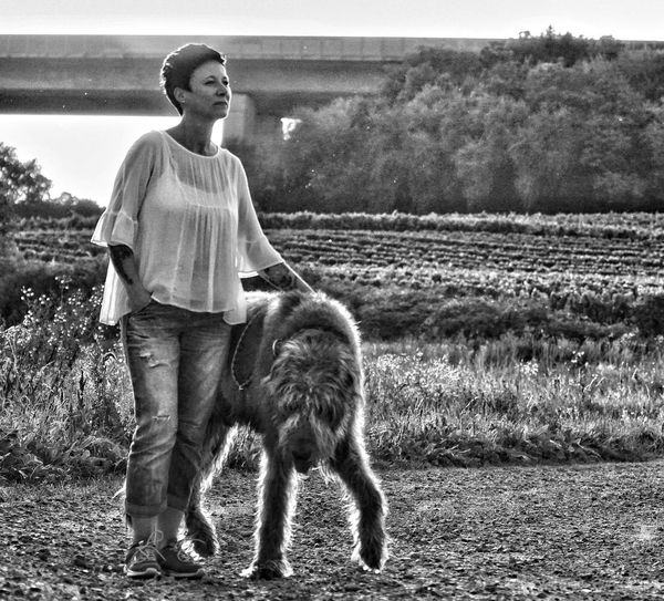 Woman with irish wolfhound standing on field against bridge