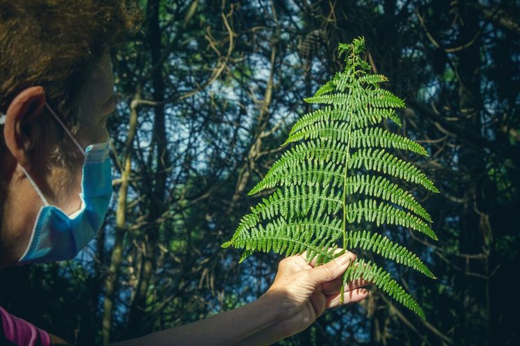 Woman with disposable medical mask holding fern with mount background