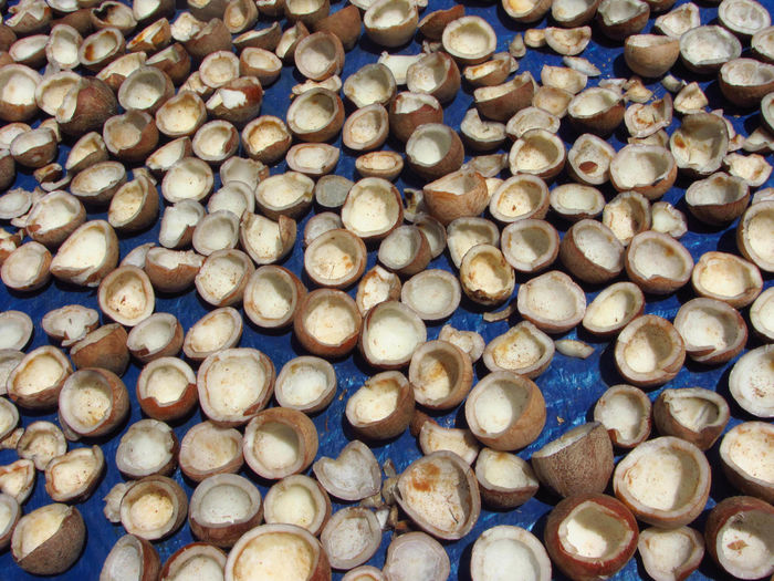 Many cut in half coconuts laying on a blue tarp