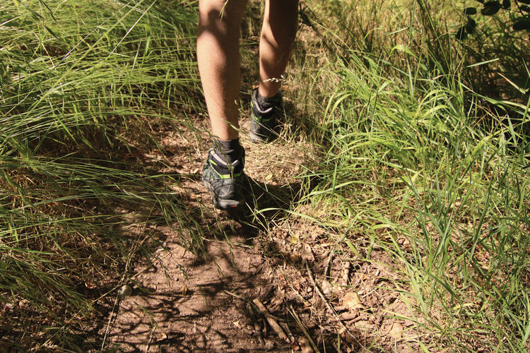 Low section of man walking on field