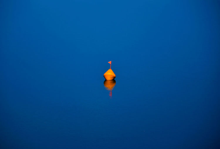 Bird floating on water against clear blue sky